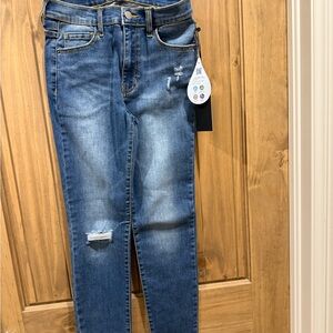 Stylish Blue Distressed Skinny Jeans